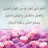 ليث ليث Avatar